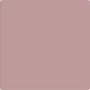 Meet your Posher, Dora